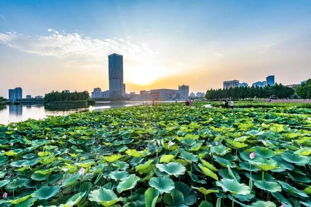 上海保利國際廣場